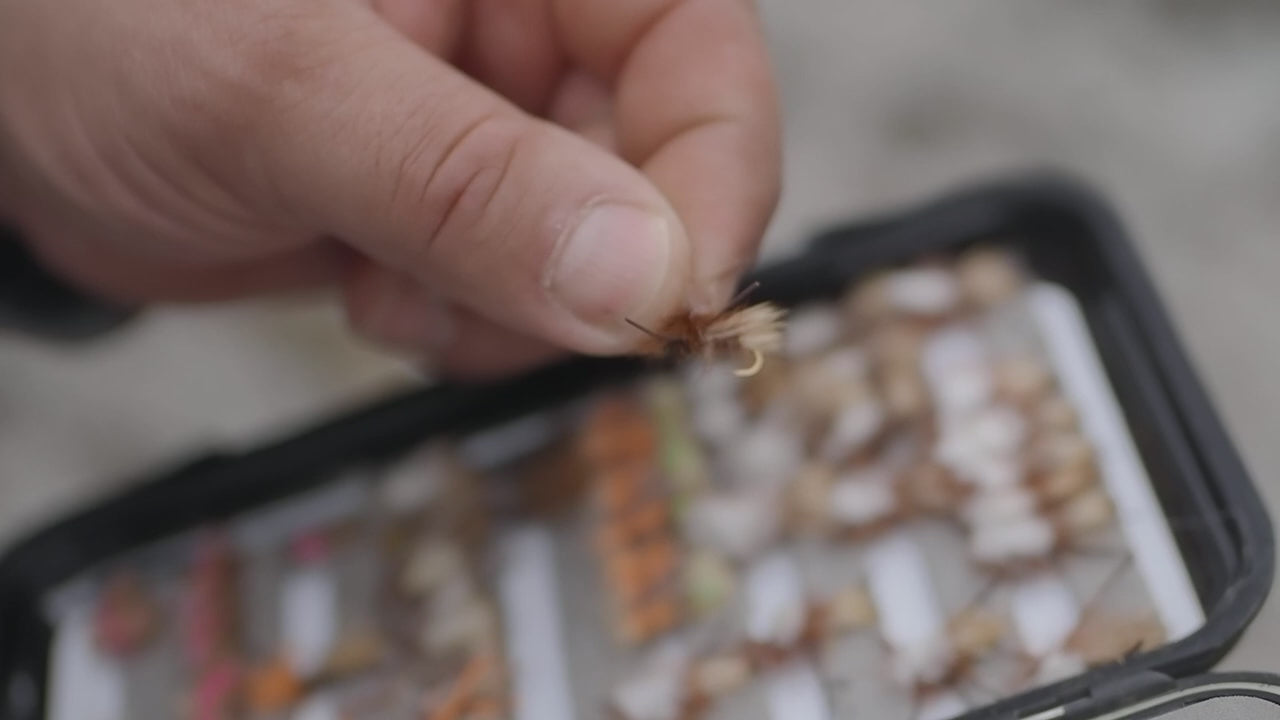 Load video: Season&#39;s Supply fly selection process